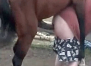 Good and passionate bestiality XXX