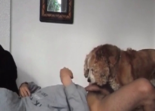 Sexy doggy fucking his tight wet crack