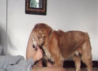 Sexy doggy fucking his tight wet crack