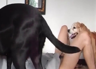 Sexy doggy fucking his tight wet crack