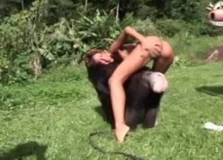 Sexy monkey in amazing exotic bestiality XXX