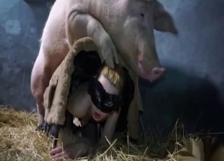 Hot pig fucked her ass in the barn