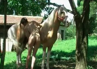Beautiful hottie and her playful horse
