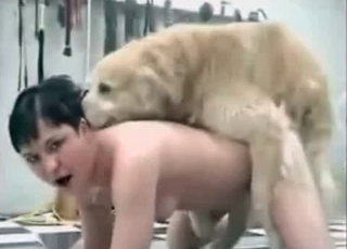 Dog drils her snatch in hardcore mode