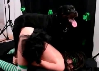 Sexy pussy nicely fucked hard by huge doggy
