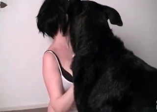 Stunning black dogs are fucking her crack