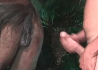 Long dick fills out stallion tight ass