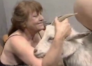 Gorgeous sheep in passionate bestiality