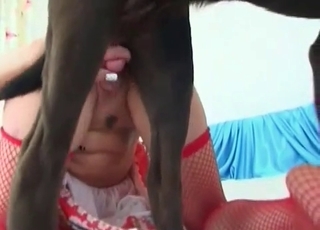 Awesome black dog fucked her wet cunt