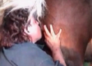 Horse anal licked hot by a zoophile