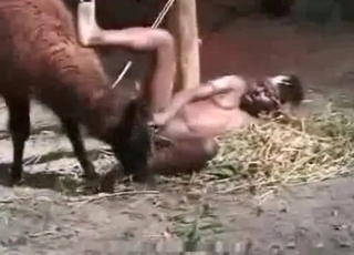 Farm bestiality action with a dirty zoophile