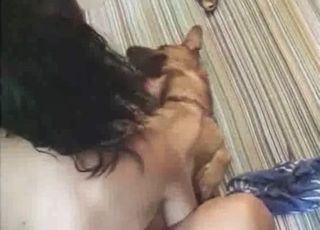 Dog enjoying her big, juicy ass