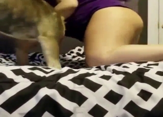 Vigorously training that ass for daily dog sex