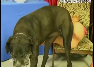 Colorfully dressed babe fucking a hung dog