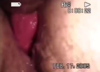 Bestiality sex with close-ups, hairy gaping