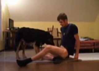 Zoo porn movie shows a dude getting off HARD