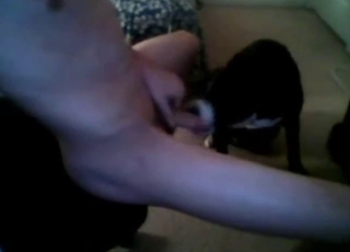 Stepson records a video with a dog's blowjob