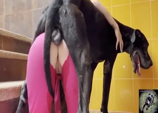 Zoo sex with a girl in pink, she loves that D