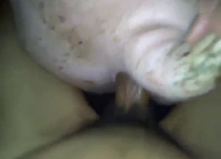 FPV fucking of a sexy pig that loves squealing