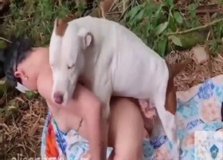 Bestiality sex: sodomy with a white fucking mutt