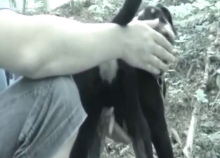 Dude fingering his black dog's tasty opening