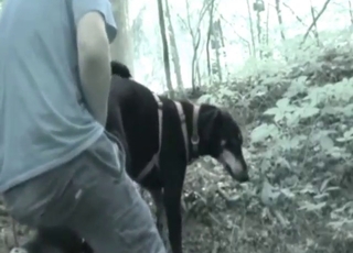 Dude fingering his black dog's tasty opening