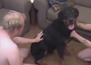 Zoo sex scene with two guys who want this dog