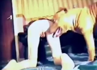 Zoo XXX movie with a brown beast fucking a hoe