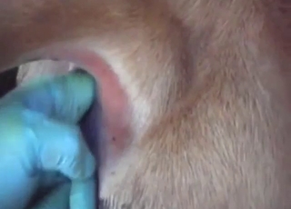 Cow wants to get fingered in a hot porn movie