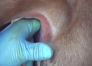 Cow wants to get fingered in a hot porn movie