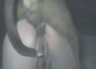 Brown dog is going to fuck her pussy from behind