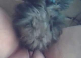 Big pussy zoophile gets knotty with a dog in POV