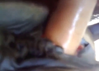 Mare is going to appreciate this big dick inside