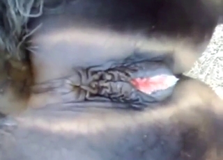 Mare is going to appreciate this big dick inside