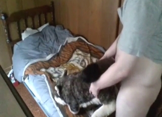 Wolf fuck movie with a slutty plushie taking it