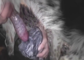 Dog gets to fuck a fleshlight to reach an orgasm