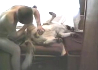 Dude is happy to lick his beast and screw it