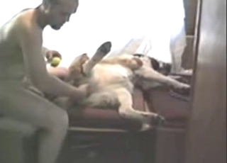 Dude is happy to lick his beast and screw it