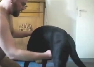 Guy is happy to suck in zoophile porn movie