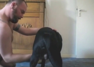 Guy is happy to suck in zoophile porn movie