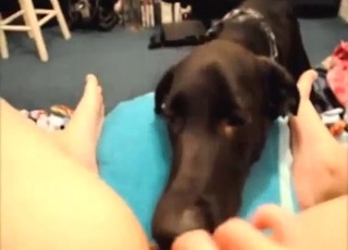 Licking featured in a zoo sex tape with POV action