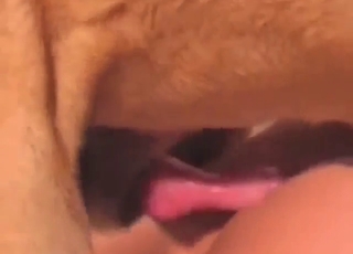 Hot zoophile lady with fair hair fucks a dog