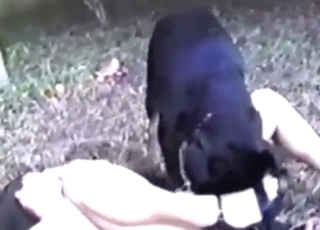 Hot zoophile gets fucked sideways by a mutt