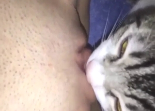 Aging zoophile lets this cat lick her kitty again