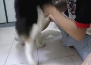 Hot zoo porn shows a dog cumming into a cup