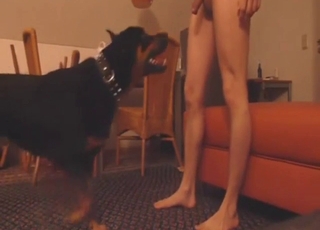 Black beast is going to fuck his tiny ass