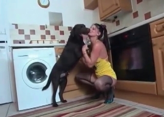 Stunning black dog in amazing bestiality