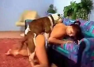 Tight crack hardly penetrated by the doggy
