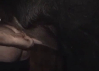 Nice and nasty amateur farm bestiality XXX