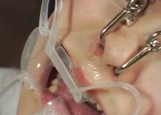 Crazy as freaking hell JAV bestiality XXX